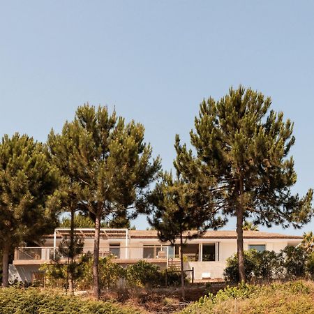 Campo De Arroz Villa Carvalhal  Luaran gambar